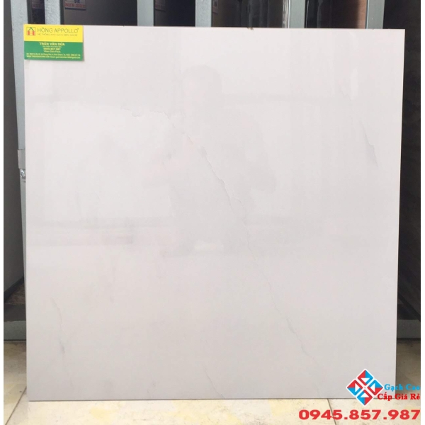 Gạch lát nền 60x60 á mỹ 650