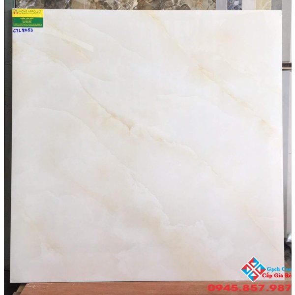 Gạch lát nền phòng khách cao cấp 80x80 8053