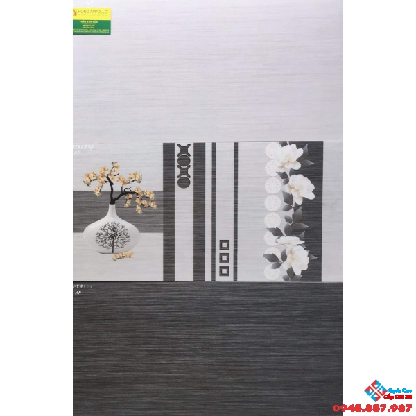 Gạch men mờ 30x60 viglacera 3690