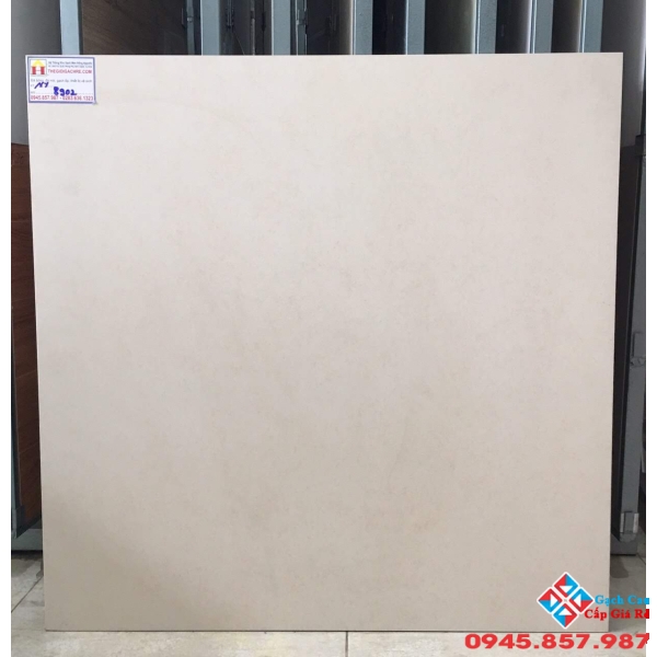 Gạch lát nền cao cấp mờ 80x80  8902