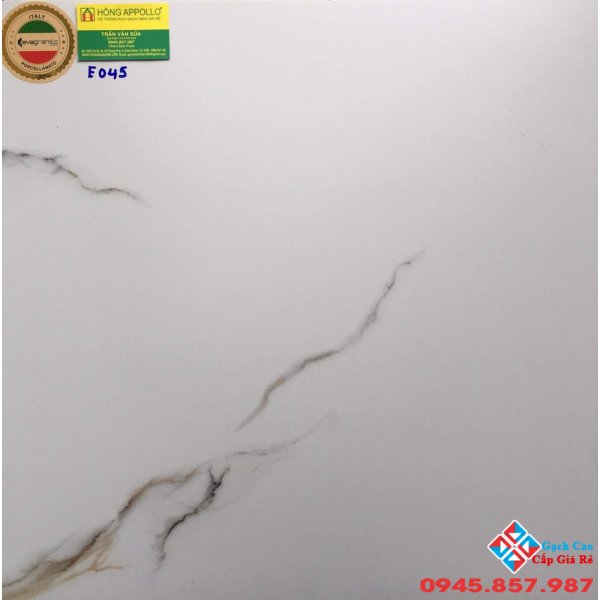 Gạch ấn độ 60x60 lát nền E045